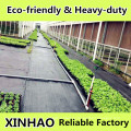 Eco-Friendly Ground Cover Fabric with Heavy Duty